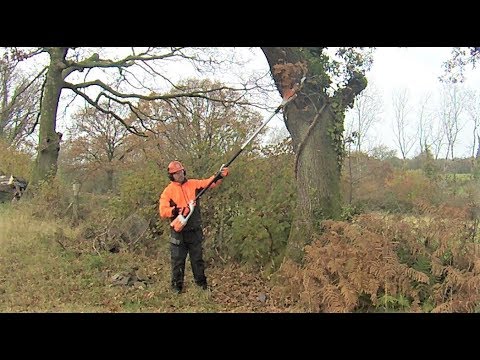 Stihl HTA 85 Cordless Telescopic Pole Pruner, Testing/Review ( Any Good