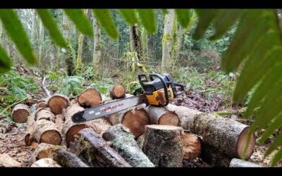 Poulan Pro Super 380 / Poulan 3750 – Stihl 039 / 390 piston swap