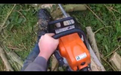 [gopro] Abatage d’un arbre (6m) avec la tronconneuse stihl ms 170