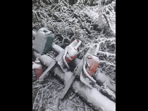 Stihl and Husqvarna