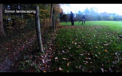 Stihl BR 600 Magnum and Stihl SH 86-D in action!