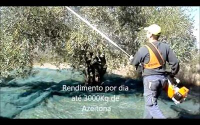 Varejadores/Vareadores STIHL – Zursigma Lda Mangualde – Portugal