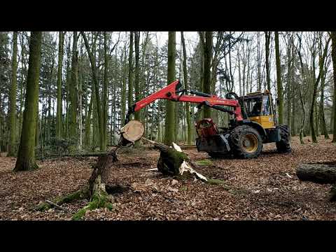 STIHL MS 500i, part 31 – with WELTE 100 – disproved trees