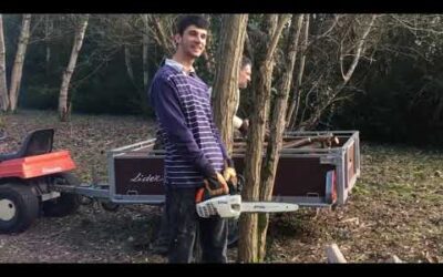 COUPE DE BOIS CHEZ UN POTE STIHL MS 192 T ET MS 211