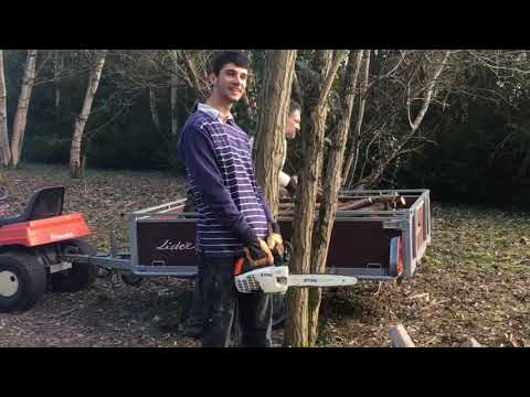 COUPE DE BOIS CHEZ UN POTE STIHL MS 192 T ET MS 211