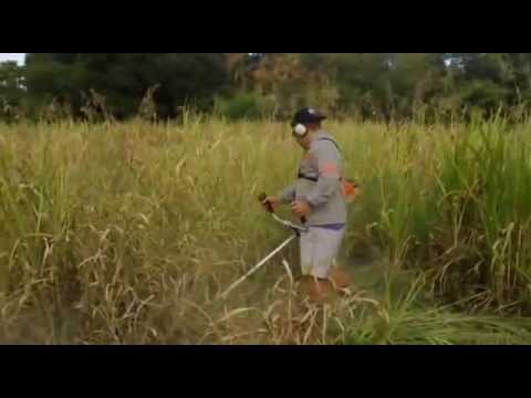 Roçadeira stihl fs290
