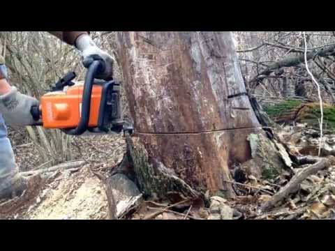 Stihl ms170 cutting wood