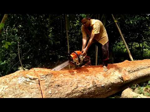 Shin Saw, Stihl Duromatic E, mesin pemotong kayu handal
