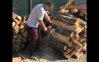 Stihl MS 170 – Cheapest Stihl chainsaw –  vs Large bundle firewood
