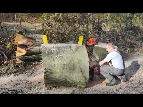 Husqvarna 3120 XP & Stihl MS 880 :it is not my best movie.  ( nem a legjobb film …😁)