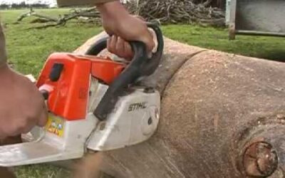 STIHL ms260