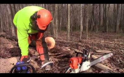 Stihl MS461 Build With Hyway Cylinder vs. Husqvarna 372XP OE With Hyway Cylinder vs. Farmertec 660