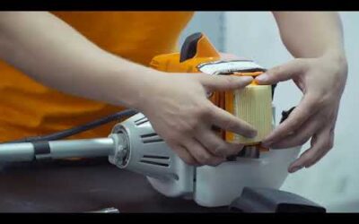 DESMALEZADORA STIHL FS 250