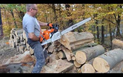 Stihl MS 880 & Stihl Duromatic E 47 «.