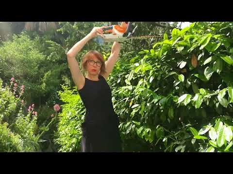Blossom zine TEST e consigli Tagliasiepi a batteria STIHL