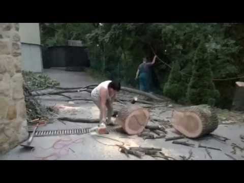 Ha az anyósom Dühbe jön, fa nem marad állva:) Stihl E 160