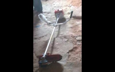 teste com motosserra e roçadeira stihl