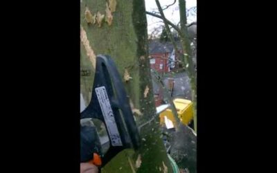 STIHL MS 150TC-E
