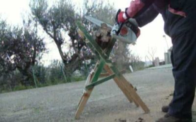 STIHL MS 150 SEZIONATURA RAMO ULIVO STAGIONATO E NODOSO