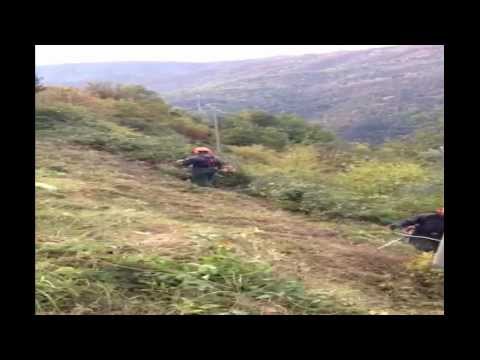 working with brushcutters stihl FS240RC-E