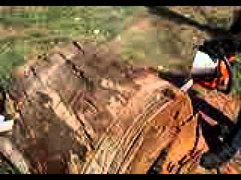 Stihl MS170 x Husqv 236