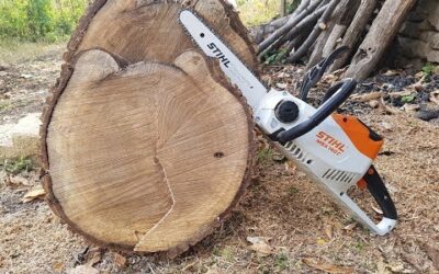 STIHL MSA 140 C-BQ Battery Chainsaw Cutting Logs | REVIEW | TEST