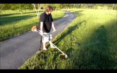 Stihl FS 250