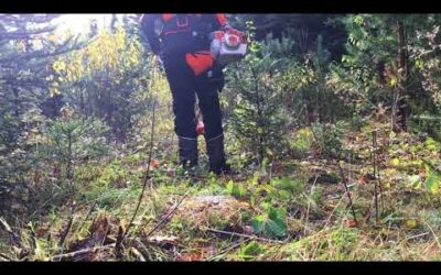 Stihl FS 260 C-E Häckselmesser