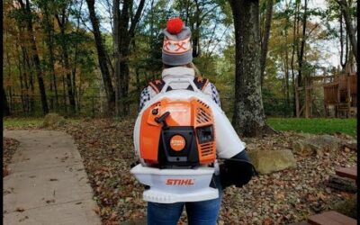 #268 THE NEW STIHL BR 800 Blower is a Beast! Fall Leaves Beware