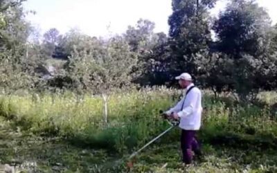 Stihl FS 56