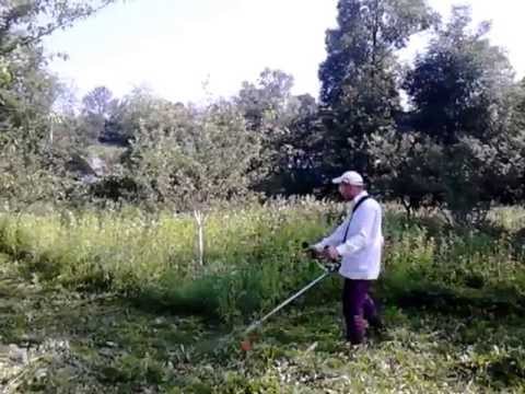 Stihl FS 56