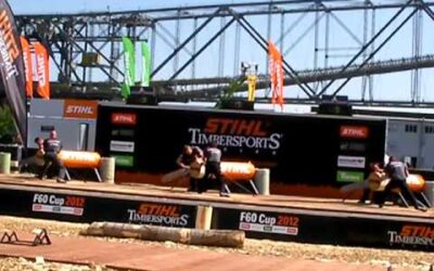 Stihl Timbersports 2012 F 60 Cup Single Buck Braun Kraus Ebner
