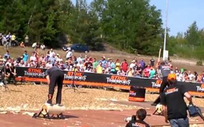 Stihl Timbersports 2012 F 60 Cup Underhand Chop Dengler Stark