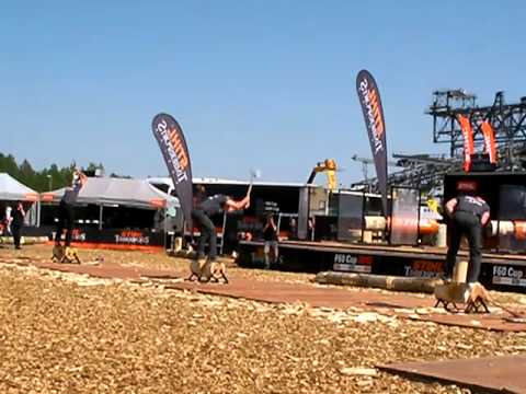 Stihl Timbersports 2012 F 60 Cup Underhand Chop Ebner Kraus Braun