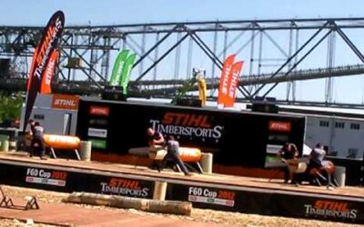 Stihl Timbersports 2012 F 60 Cup Single Buck: Dengler Kraus Fischer