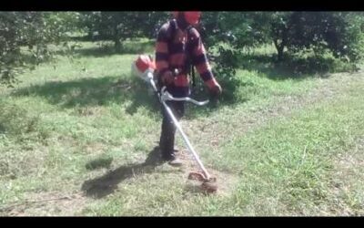 FS 260 STIHL