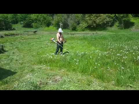 Motocoasa stihl fs 55