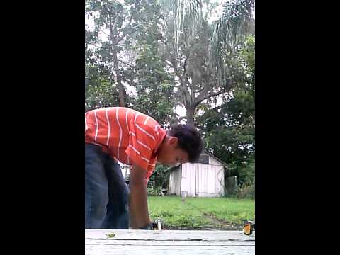 My stihl weed eater fs 250