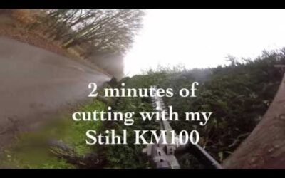 Laurel and conifer hedge trimming / cutting , Stihl KM100 Go Pro action.