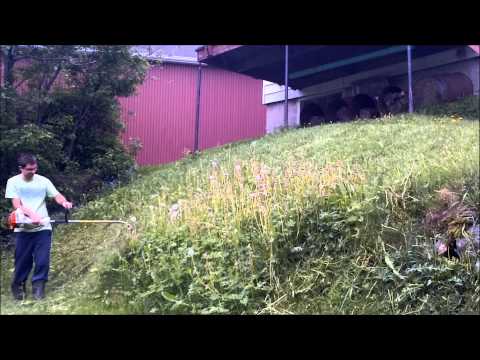 STIHL FS 38 IN ACTION !!! 2015