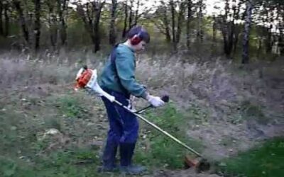 Stihl FS-55