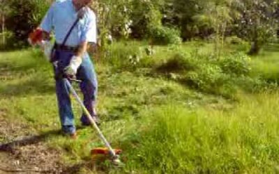 MOTOGUADAÑA STIHL KA 85 FS – malancaagro