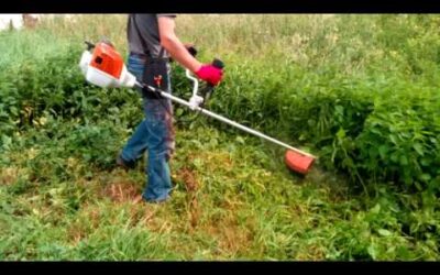 Kosa Stihl Fs 240 cięcie trawy