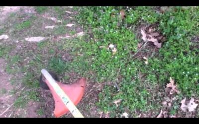 Husqvarna v. Stihl