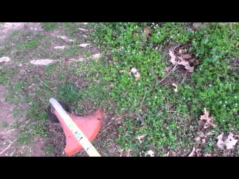 Husqvarna v. Stihl