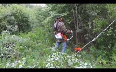 Stihl FS-120
