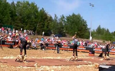 Stihl Timbersports 2012 F 60 Cup Underhand Chop Thoma Striewe Dengler