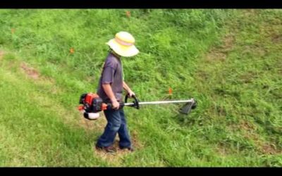 Stihl FS94R VS Echo ProExtreme 2620