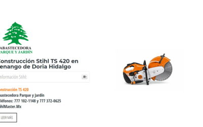 Construcción Stihl TS 420 en Tenango de Doria Hidalgo