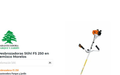 Desbrozadoras Stihl FS 250 en Temixco Morelos